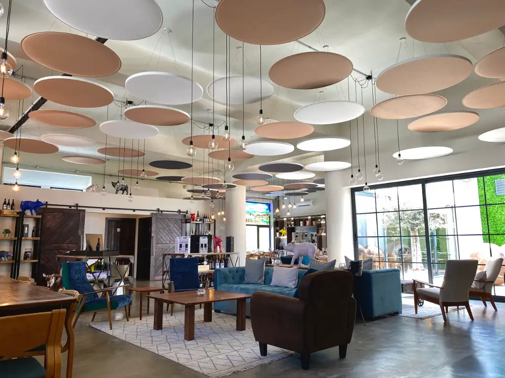 Preview of Ceilings placement.