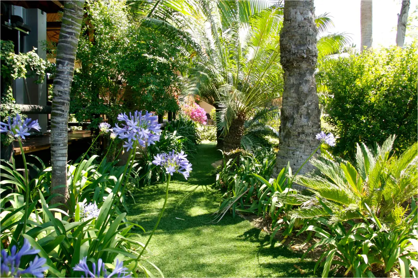 Preview of Artificial Grass placement.