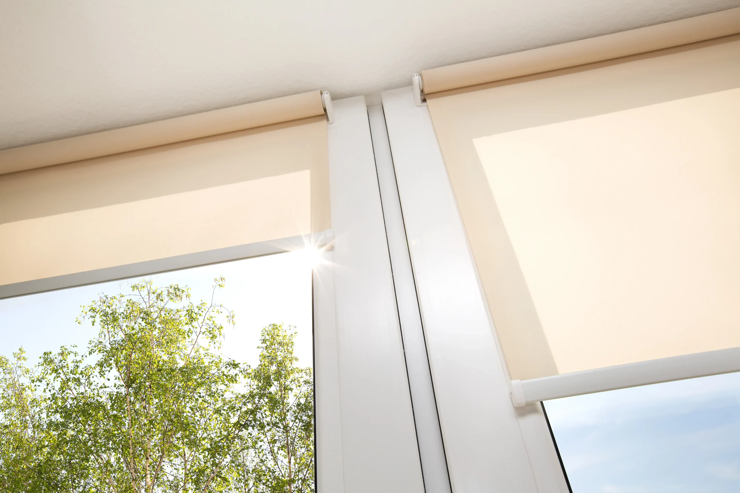 Preview of Blinds & Rods placement.