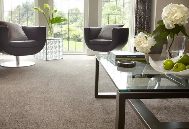 Preview of Fitted Carpets placement.