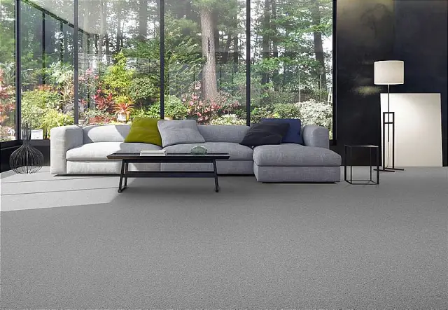 Preview of Fitted Carpets placement.