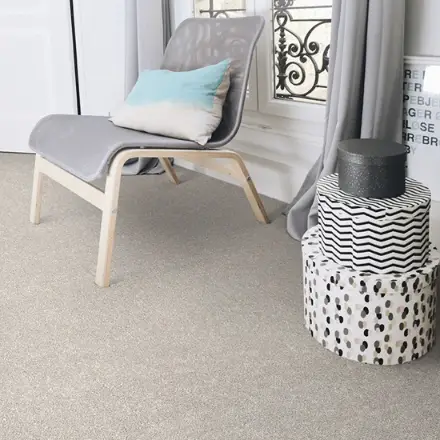 Preview of Fitted Carpets placement.