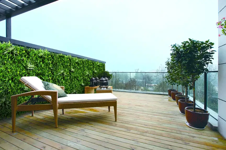Preview of Green Walls & Moss placement.