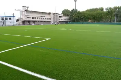 Preview of Sports Grass placement.