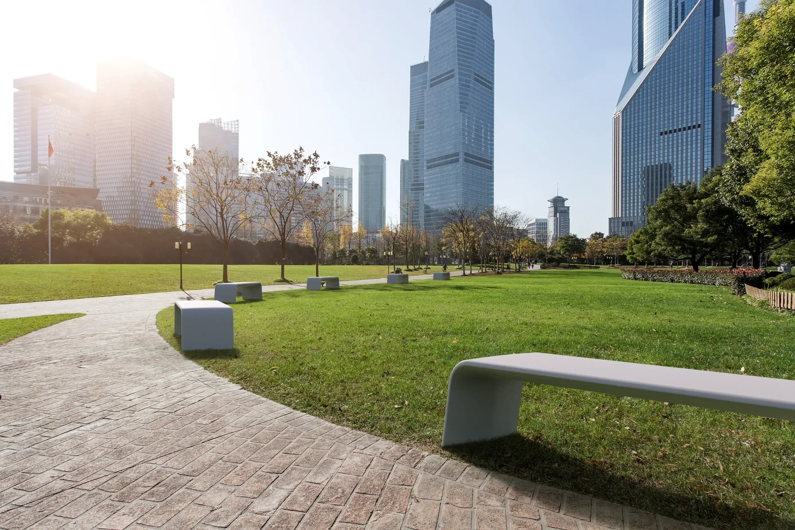 Preview of Benches placement.
