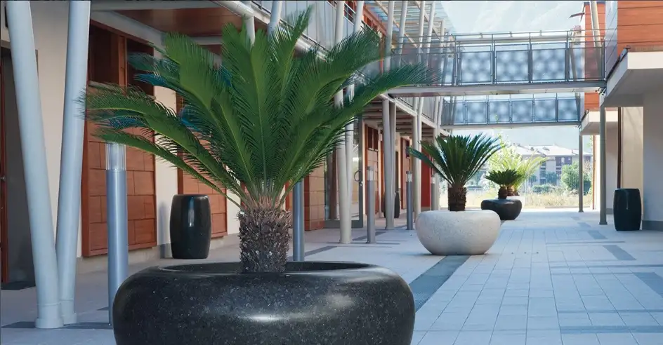 Preview of Planters placement.