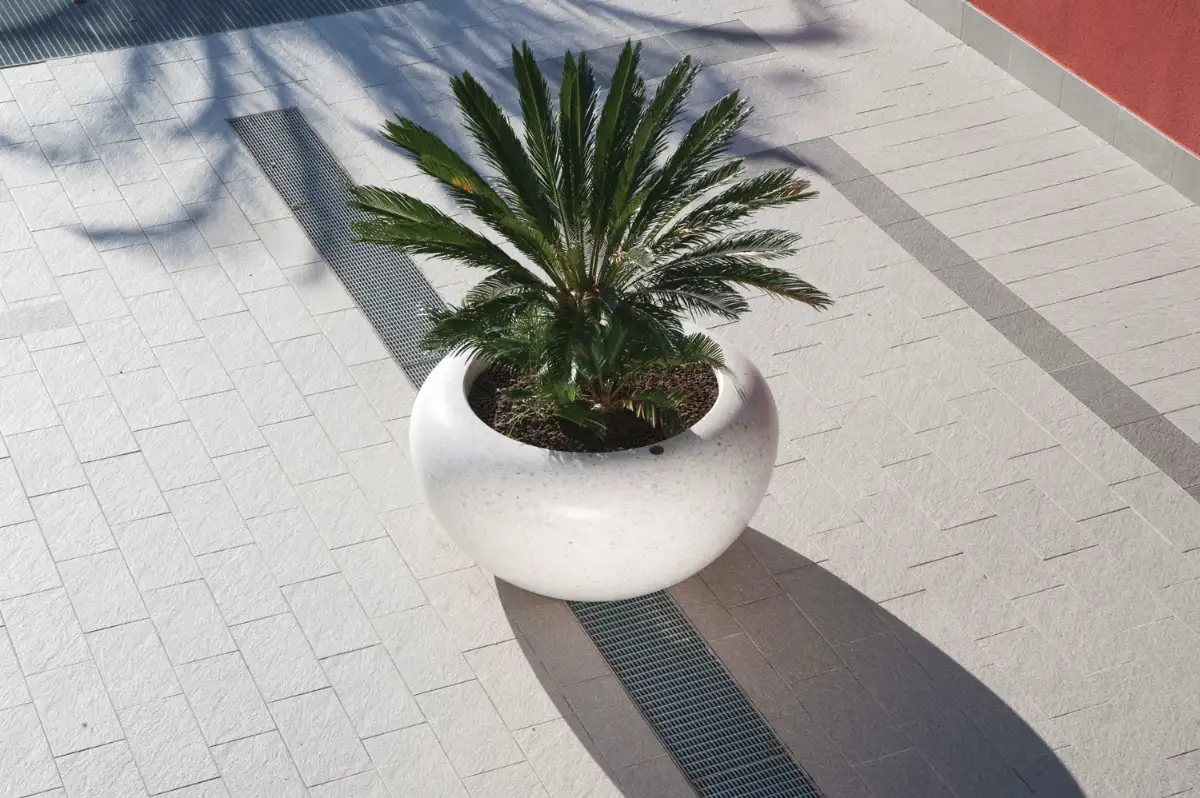 Preview of Planters placement.