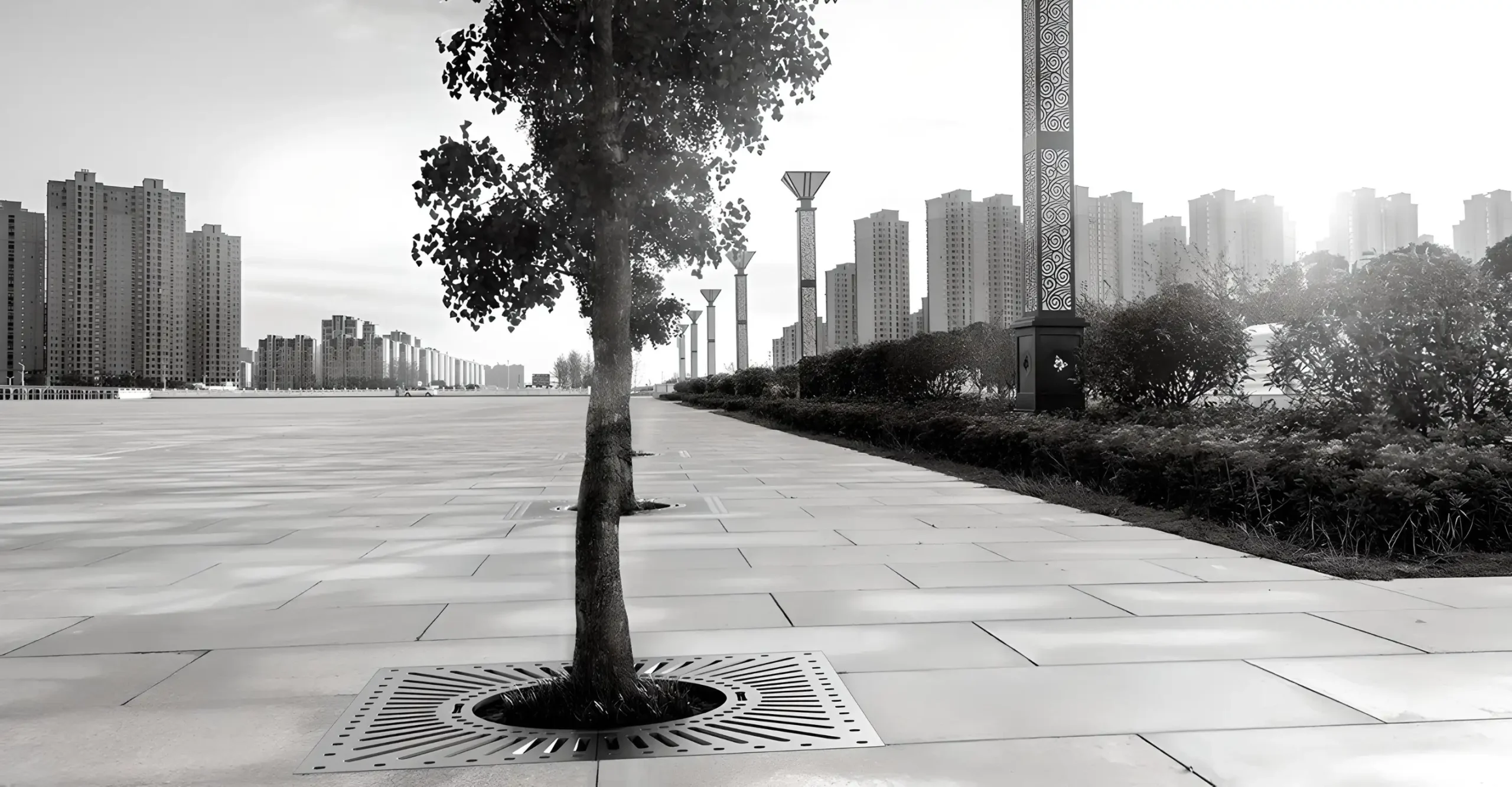 Preview of Tree Guards placement.