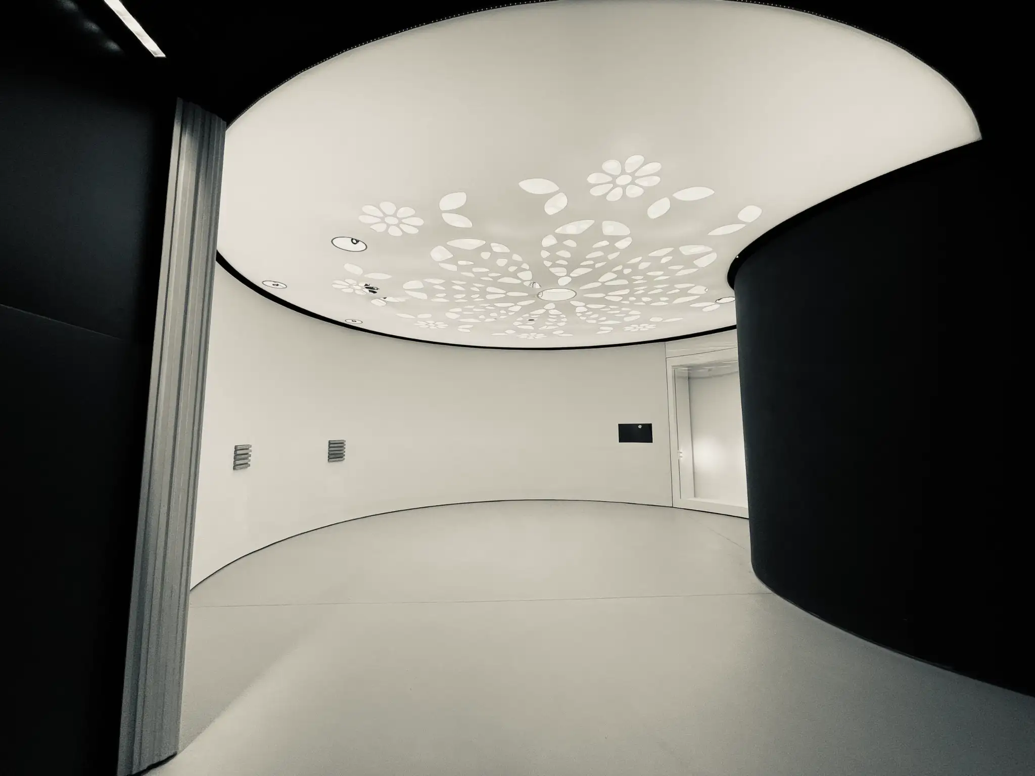 Preview of Stretch Ceilings placement.