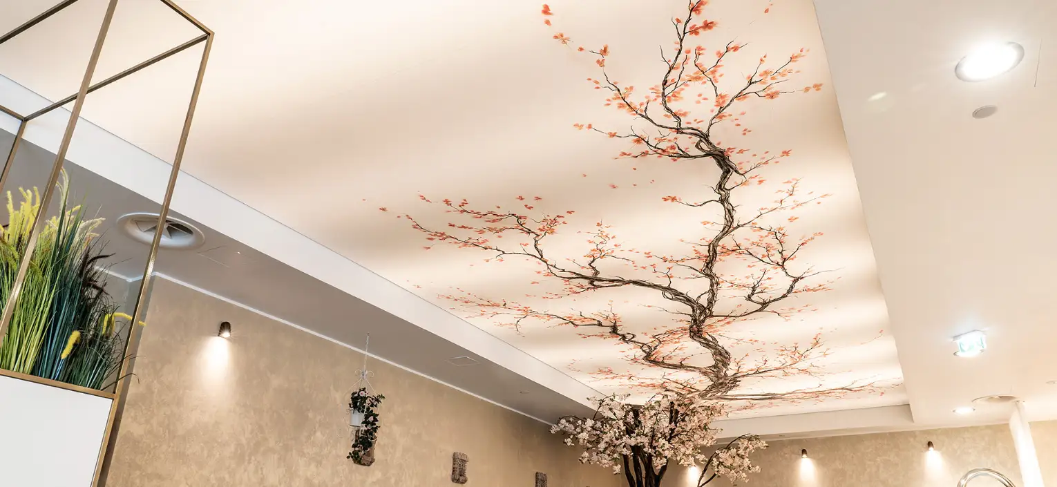 Preview of Stretch Ceilings placement.